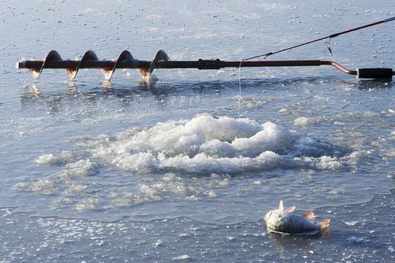 Experience the Thrill of Ice Fishing at the UK's Top Live Casinos Online in United Kigdom